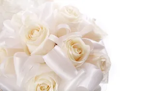 White Wedding Roses Wallpaper