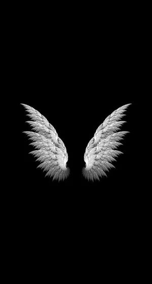 White Wings In Cool Black Background Wallpaper