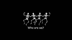 Who Are We Skeleton Desktop Wallpaper