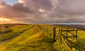 Wide Greenfield Morning Glory Day Wallpaper