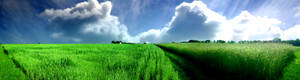 Widescreen View Hay Field Wallpaper