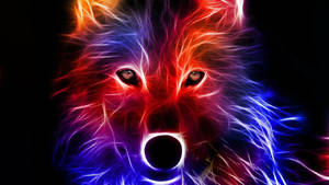 Wild Animal Red And Blue Art Wallpaper