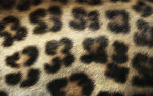 Wild Leopard Pattern High Fashion Style Wallpaper