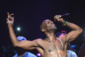 Wild Musician Dmx Wallpaper