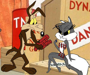 Wile E Coyote Courting A Lady Wallpaper