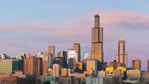 Willis Tower Tallest Building Wallpaper