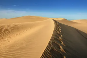 Wind Tracks In Desert Wallpaper