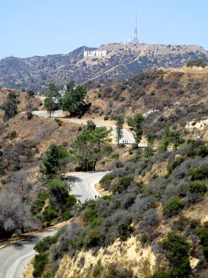 Winding Road In Hollywood Wallpaper