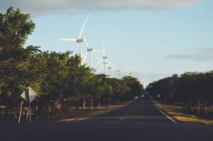 Windmills And Trees In Nicaragua Wallpaper