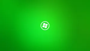 Windows 11 Plain Green Wallpaper