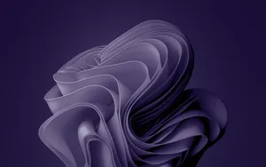 Windows 11 Purple Bloom Wallpaper