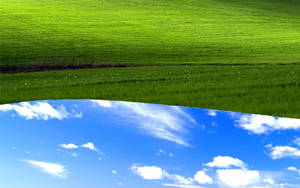 Windows Xp Bliss Reversed. Windows Xp Bliss Wallpaper Wallpaper