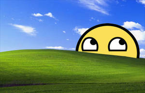 Windows Xp Bliss Wallpaper Wallpaper