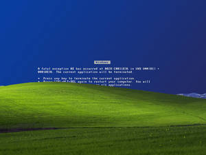 Windows Xp, Error, Microsoft Windows, Blue Screen Of Death Wallpaper