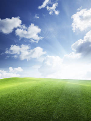 Windows Xp Wallpaper For Ipad. Mobile Wallpaper Wallpaper