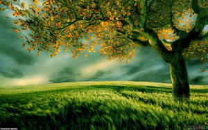 Windy Field Tree Art Wallpaper