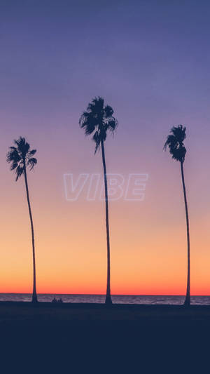 Windy Sunset Summer Vibes Wallpaper