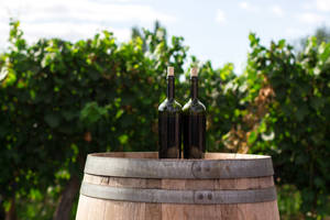 Wine Bottles In Vineyard Wallpaper
