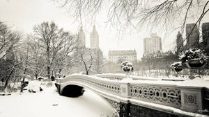 Winter Aesthetic Central Park Wallpaper