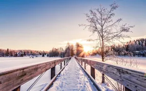Winter Bridge Sunrise Nature Wallpaper