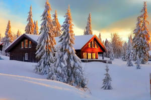 Winter House Golden Hour Wallpaper