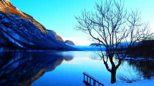 Winter_ Lake_ Serenity_ Scene Wallpaper