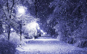 Winter Light For Laptop Wallpaper