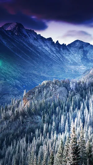 Winter Mountain Ranges And Trees Smartphone Background Wallpaper