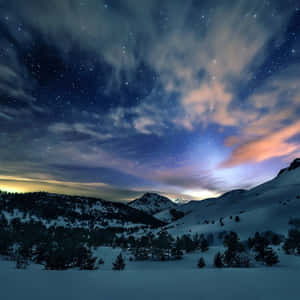 Winter Nature Ipad Wallpaper
