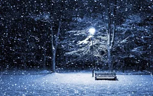 Winter Night Desktop With A Park Bench Wallpaper