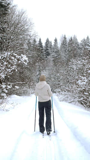 Winter Skiing Adventure Forest Trail.jpg Wallpaper