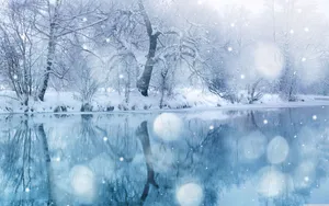 Winter Snowfall Wallpaper