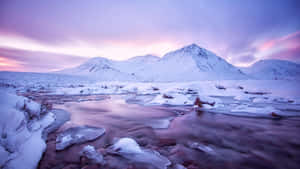 Winter Twilight Mountain Stream Wallpaper