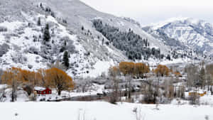 Winter Wonderland Wallpaper