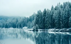 Winter Wonderland Wallpaper