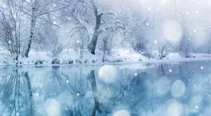 Winter Wonderland Wallpaper