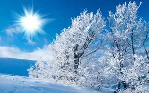 Winter Wonderland Sun Shine Desktop Wallpaper