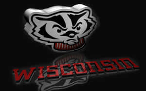 Wisconsin Badgers On The Field Wallpaper