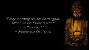 Wise Words From Buddha Hd Wallpaper