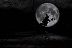 Witchy Silhouette On Full Moon Wallpaper