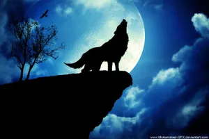 Wolf Howling Wallpaper