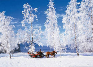 Wolfgangsee Lake Winter Scenery Wallpaper