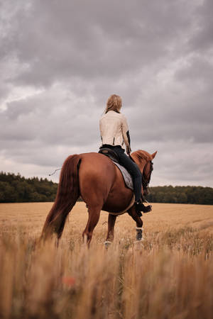 Woman In White Shirt Riding Brown Horse During Daytime Wallpaper