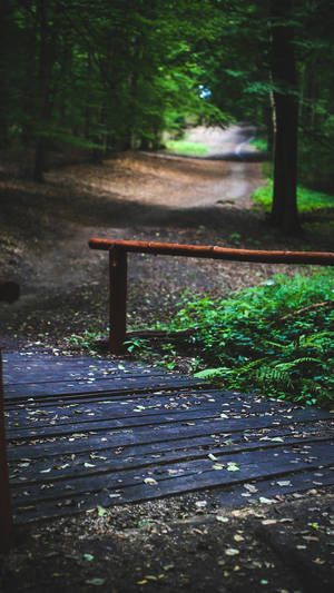 Wood Bridge In Park Smartphone Background Wallpaper