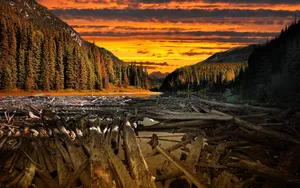 Wood, Logs, Water, Crossing, Colors, Alloy Wallpaper