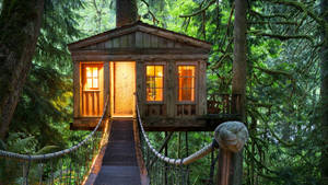 Wood Tree House Wallpaper