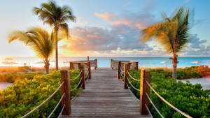 Wooden Beach Walkway Wallpaper