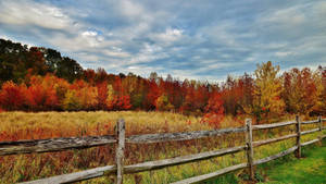 Wooden Fence Best Autumn Wallpaper