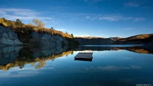 Wooden Plank In Nature Wallpaper
