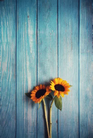 Wooden Table With Sunflower Phone Wallpaper